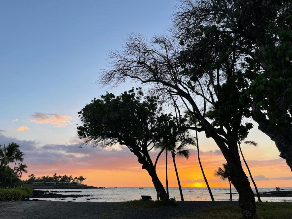 Mauna Lani Palm Villas D-2 Corner Unit Historic View 唯客乐渡假村 外观 照片