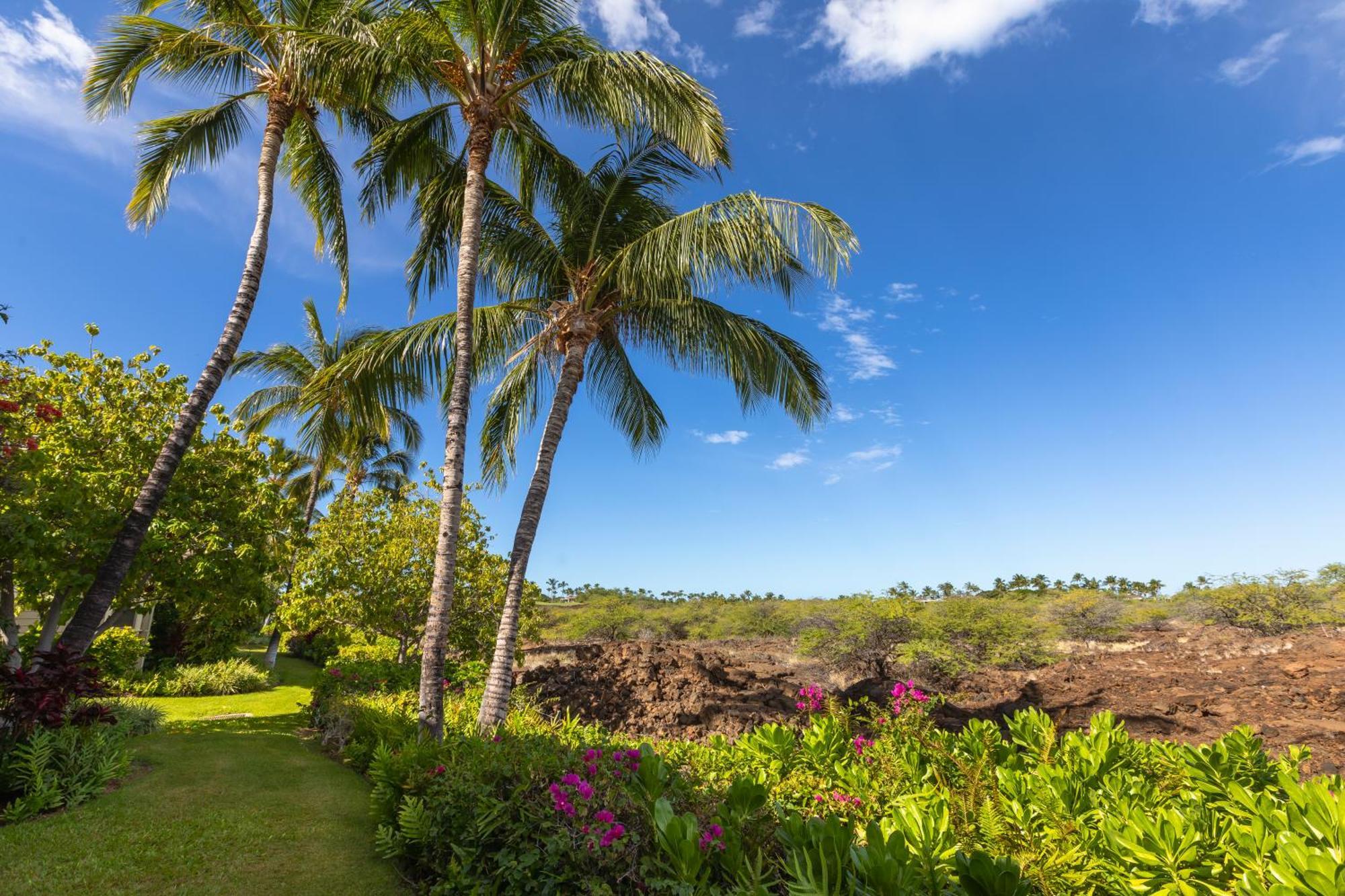 Mauna Lani Palm Villas D-2 Corner Unit Historic View 唯客乐渡假村 外观 照片